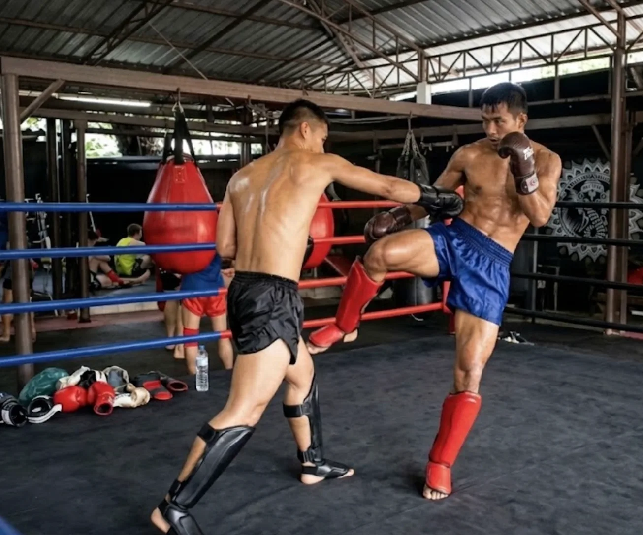 Muay Thai shin conditioning, the striking surface that produces real impact